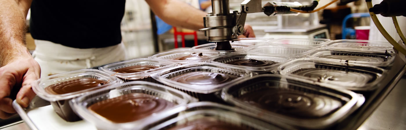 Winfery's Extraordinary Fudge