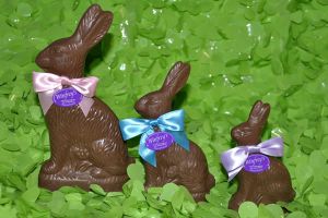 Chocolate Bunny
