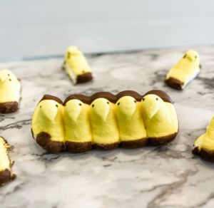 Chocolate Covered Peeps